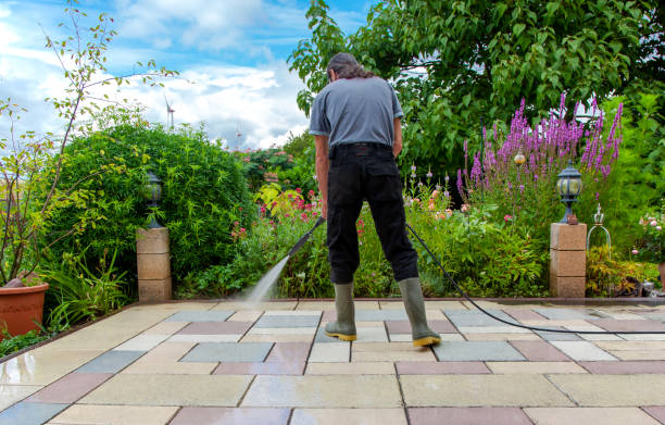 Best Animal Enclosure Cleaning  in Inman, SC